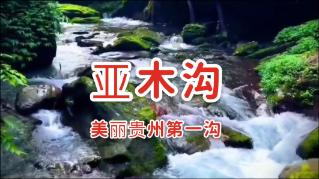 虫虫助手下载